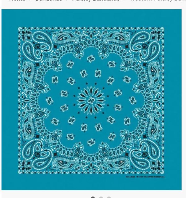 Turquoise Bandanna Seat Shade