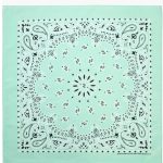 Light Blue Seat Shade