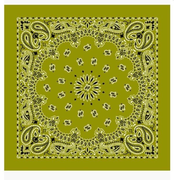 Olive Green Standard Bandanna Seat Shade