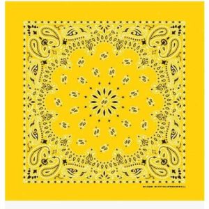 Lemon Standard Seat Shade