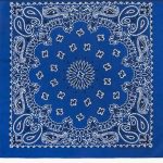 Royal Blue Bandanna Seat Shade