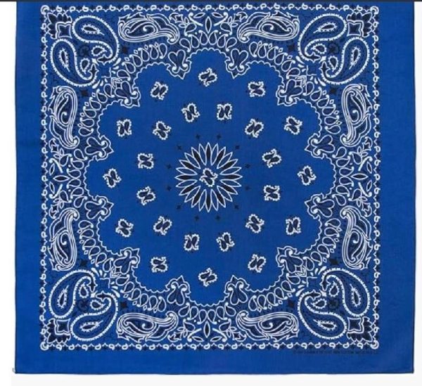 Royal Blue Bandanna Seat Shade