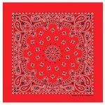 Red Bandanna Seat Shade