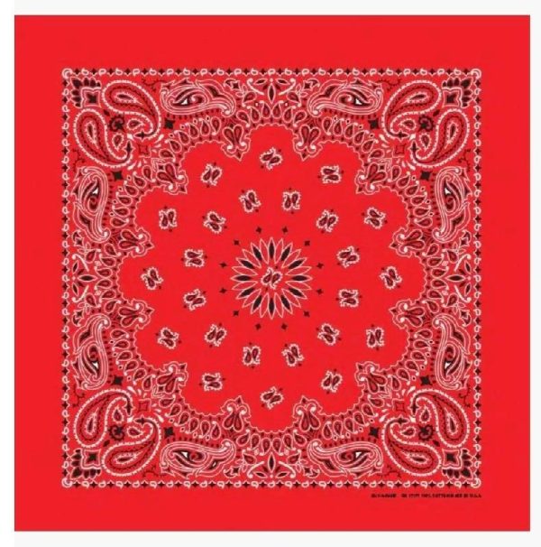 Red Bandanna Seat Shade