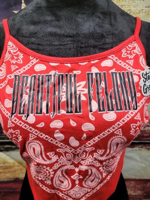 BEAUTIFUL FELONY Summer Paisley Tie Back Tops - Image 2