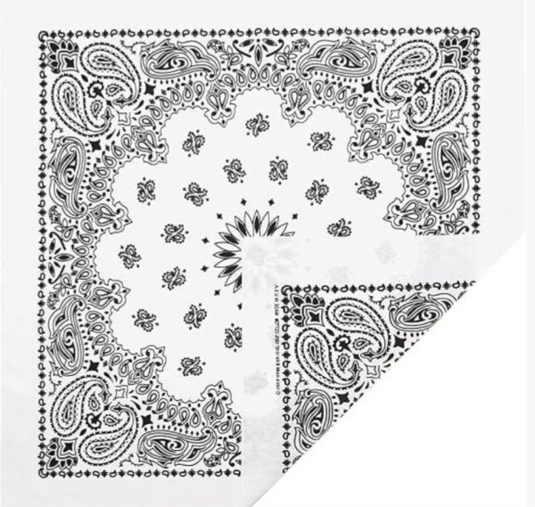 White Bandanna Seat Shade - Image 2