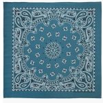 Mirage Blue Bandanna Seat Shade