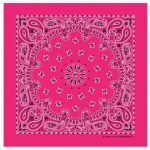 Hot Pink Bandanna Seat Shade